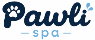 Pawlispa